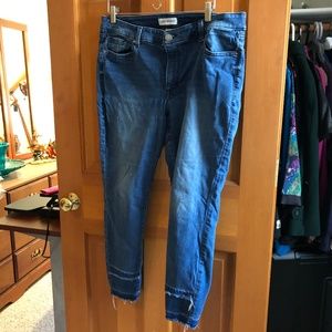 Lane Bryant Skinny Jeans